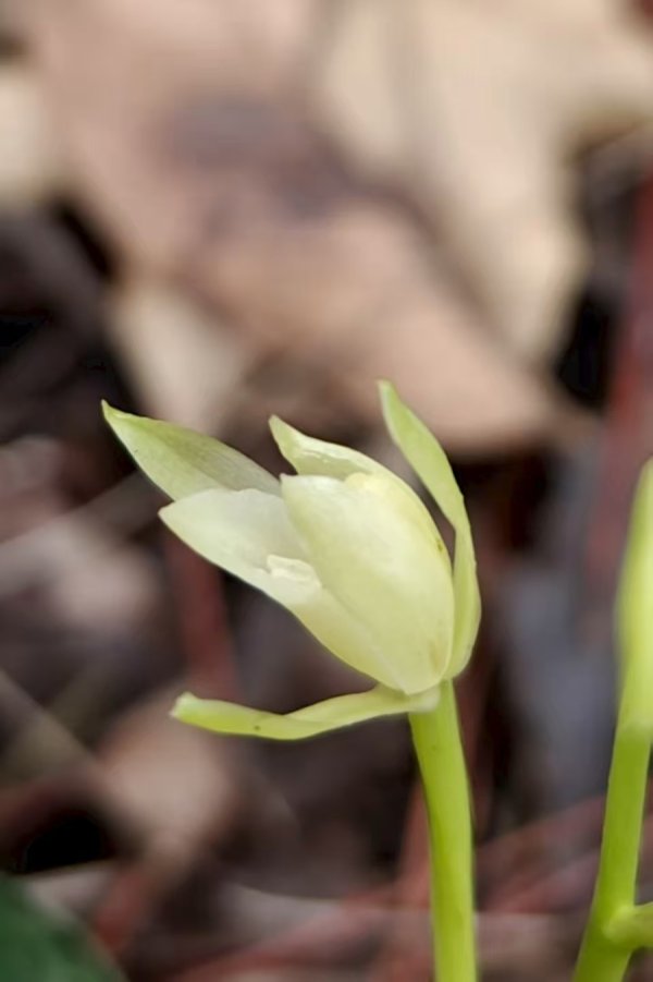 配资大全 江苏首次！镇江发现“国保”