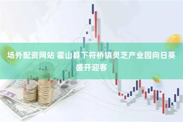 场外配资网站 霍山县下符桥镇灵芝产业园向日葵盛开迎客